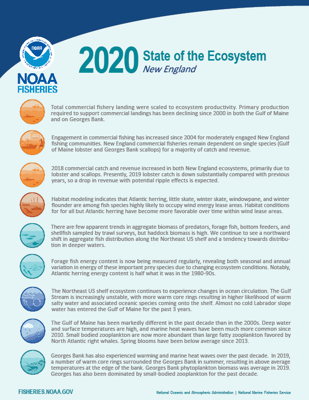 :img State of the Ecosystem page 1 summary bullets, 100%